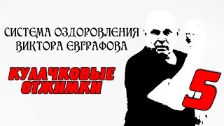 Система оздоровления Виктора Евграфова. Пятое упражнение