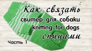 Свитер для собаки спицами, часть 1, DIY Dog sweater spokes, part 1