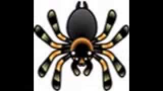 Tarantulas song by Eugene Yackle