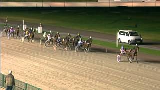 Victoria Park Wolvega 10-1-2014 KOERS 3 UFARIO DE CLARBEC - T. KOOYMAN