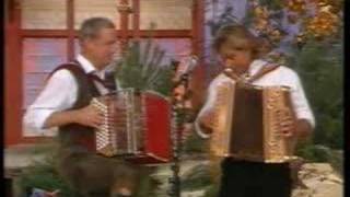 Hansi Hinterseer - Spoons & Akkordeon