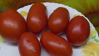 Томат Дедушкины муди. Оказались очень вкусными. Дегустация 2022 года.