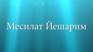 Месилат Йешарим. Урок № 80. Источник добра и благословения.