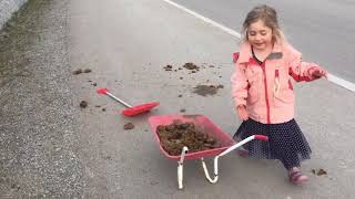 Free Horse Poo!