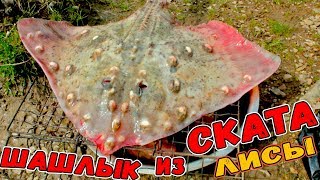 ШАШЛЫК ИЗ СКАТА. МОРСКАЯ ЛИСА НА костре