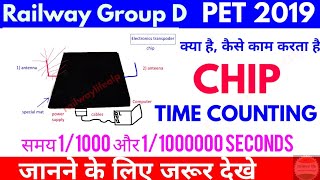 CHIP & MAT Group D PET 2019