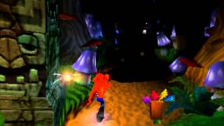 Crash Bandicoot 2: Level 23 Night Fight