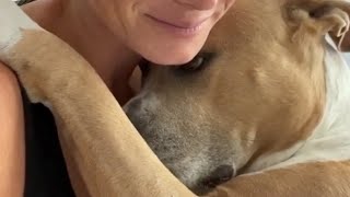 No one can escape this rescued dog's hugs