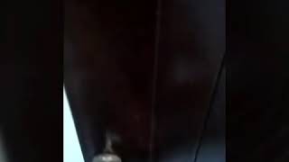 BIKERSFUNNYGAESS*Ngintip Bang (BIFUN) Mandi Gaess