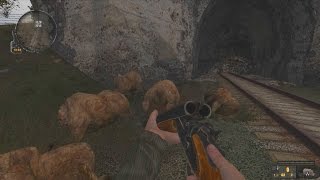 ЗАЧИСТИЛ ЛОГОВО МУТАНТОВ И РАЗЖИЛСЯ ХАБАРОМ. ПРОХОЖДЕНИЕ Another Zone Mod #2