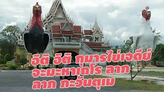 เที่ยววัดเจดีย์,ตาไข่,เชฟแดนแกงเขียวหวานไก่