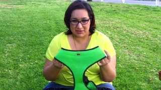 SimplyDog Mesh T-Strap Body Dog Harness Review