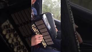 Despacito на баяне