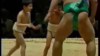 Sumo Paris Bercy 1995