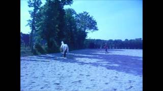 Lucky, entraînement savoirs éthologiques, du 31/05/2016