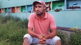 Ответ на вопрос про доходы с пасеки 19.06.2018