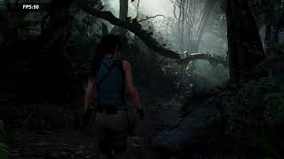 Nvidia 2080 Ti fps test on shadow of the tomb raider
