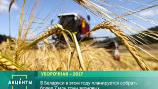 АКЦЕНТЫ. Уборочная 2017