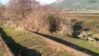 Tidewater Railway Line Cowichan Bay Vancouver Island Canada