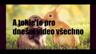 Úvodní video | Krekr 57