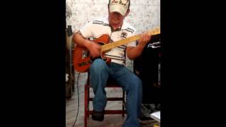 The cranberries animal instinct guitar cover
