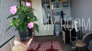Моя комната / My room