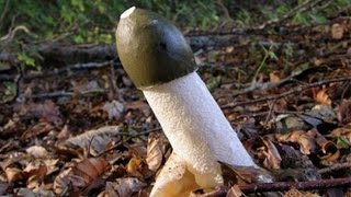 ТОП 5,5 СПОСОБОВ получить ЖЕСТКИЙ СТОЯК