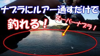 湾内のスーパーナブラにルアー投げるだけで釣れる。鳴門ショアジギ生活day6 2/2