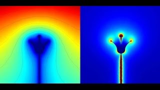 Plants Really Do Talk To Each Other | Today's Creation Moment