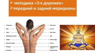 Энергетическая структура человека и технология BioTrEM. Часть 4