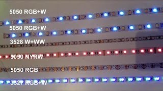 RGB+W and w+ww led strips