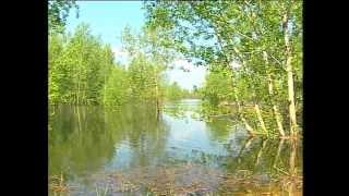 Весенние сны или фетофония. Spring Dreams.