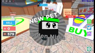 mon debut sur ninja master