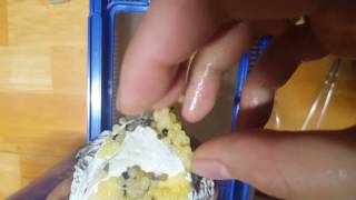 타란튤라 (골든그레이) 알집 해체 영상//  Pulling the P.platus egg sac!!
