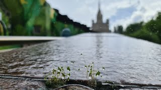 Yoll стрим с военной техникой у зоопарка