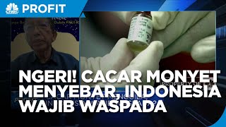 Cacar Monyet Menyebar, Indonesia Wajib Waspada?