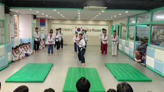 금태회 금메달태권도 3,4품 기본동작 낙법 시범발차기540도720도 연결기