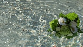 Mindfulness-ääniharjoituksia | Tilani juuri nyt | Harjoite II