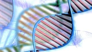 Neurotheology ➽ God is in The Neurons