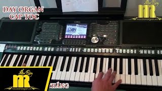 Học Đàn Organ Cấp Tốc TPHCM - VỀ MIỀN TÂY - Trung Tâm Nhạc Rừng