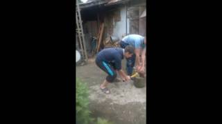Зарубали Курицу | ZARRAZA_TV