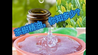 茶樹精油你知多少？