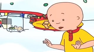 Caillous Grille | Caillou auf Deutsch