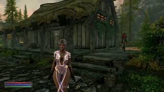 Skyrim SE (mods) - Morgaine - Goma Pero Land