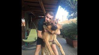 Recensione Natural Trainer per taglia media??