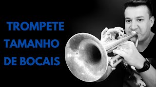 DICAS PARA TROMPETISTAS: TAMANHOS DE BOCAIS!