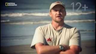 National Geographic: Кладоискатели / Diggers 2013