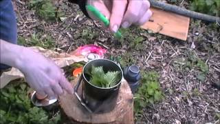 PIGEON AND NETTLE DINNER COOKED ON CAMPFIRE