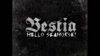 Hello Seahorse! - Miercoles