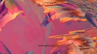 GIOVANNI MARRADI - The Weeping Clown(Album: For you)